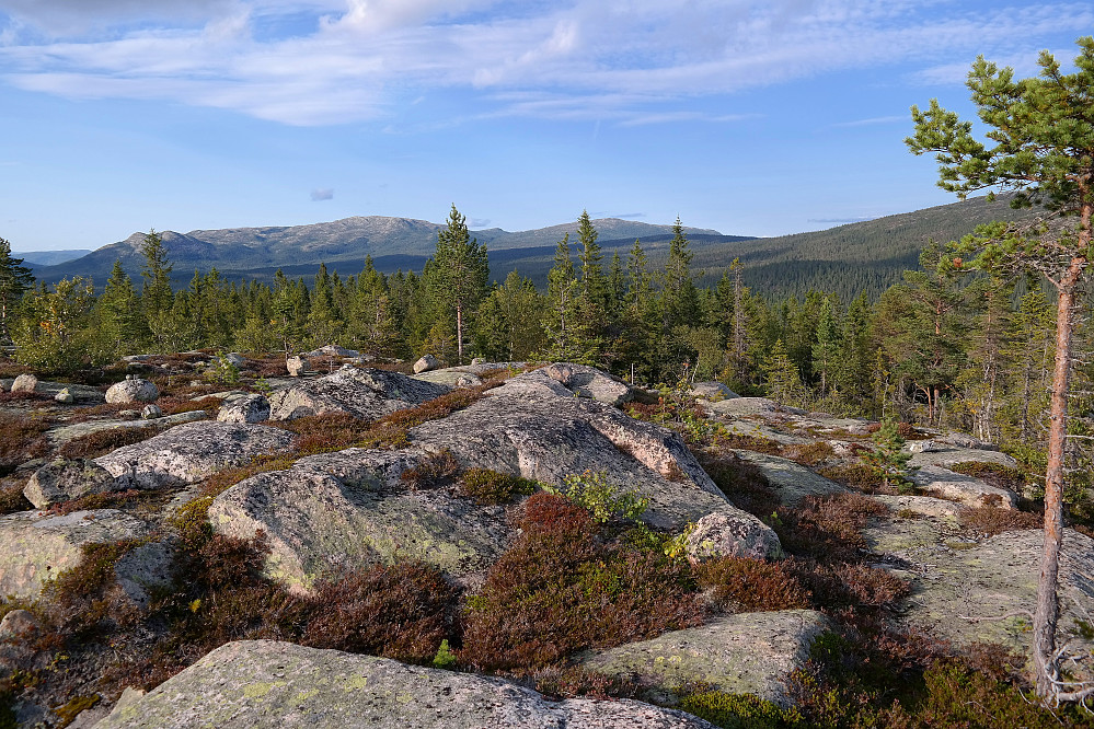 Utsikt nordover fra toppen av Eidvasskollen (764). I bakgrunnen, litt til venstre, ses Gyranfisen (1126).