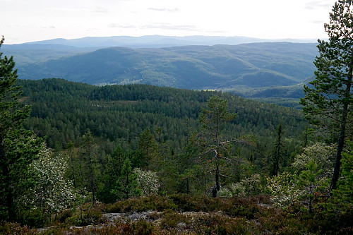 Utsikt ned mot Strømsoddbygda fra Eidvasskollen (764). Jeg står ovenfor den bratte vestsiden, ca 250 meter sør for toppen.