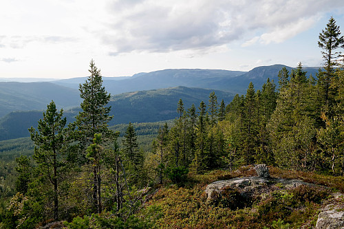 Mot nordvest, fra Eidvasskollen (764). Jeg står ovenfor den bratte vestsiden, ca 200 meter sør/sørvest for toppen.