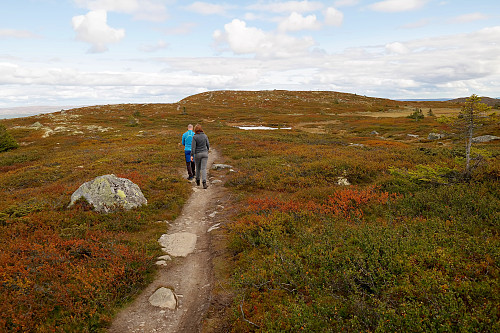 På stien til toppen av Hitfjellet (1083), som ses i bakgrunnen midt i bildet.
