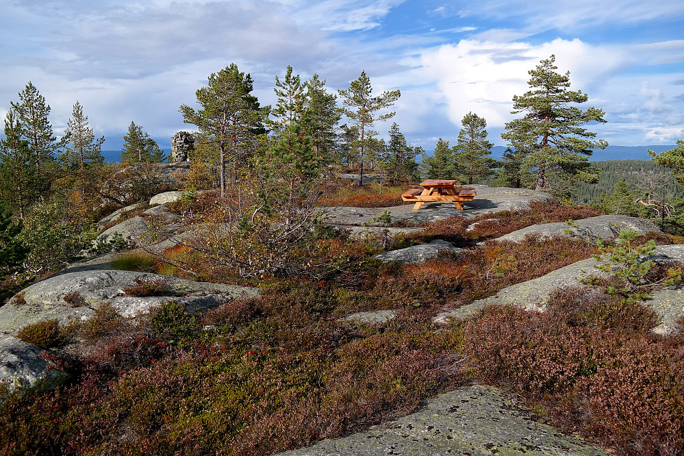 Toppvarden på Nesfjell (599) er litt bak til venstre. På bildet ses også den andre rastebenken som står ved toppen.