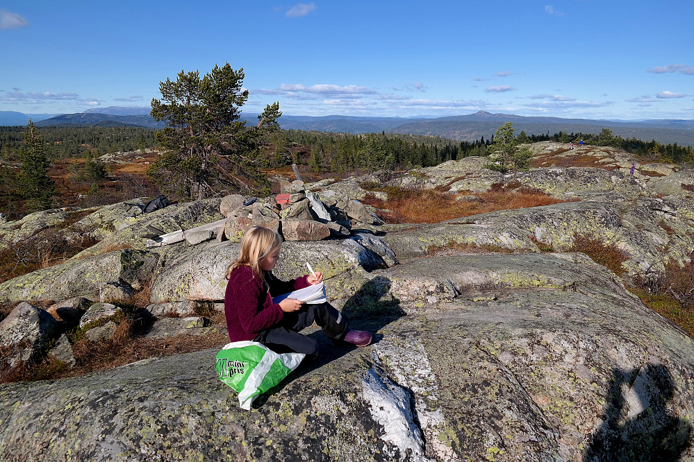 Frida skriver oss inn i boka på toppen av Sveinsbuvarden (746). I bakgrunnen til høyre ses Jonsknuten (904).