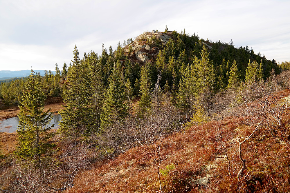 Den Runde Kollen (874) sett fra sørøst. Jeg gikk opp nokså rett på og måtte klyve over noe av det snaue berget.