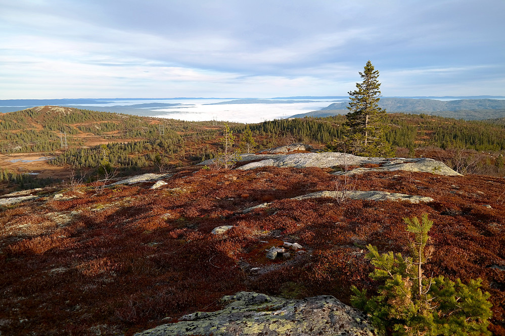 På toppen av Den Runde Kollen (874). Mot øst ligger tåka tjukk nede i lavlandet. Under tåka midt i bildet ligger innsjøen Soneren.