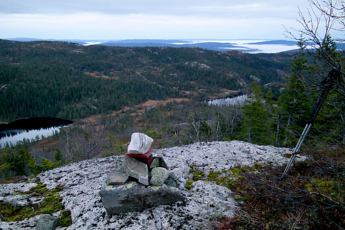 På Trånatten (844). Utsikt østover. Innsjøen bak trærne til høyre, er Tråenvatna/Nedre Tråtjønn. I venstre bildekant ses Øvre Tråtjønn. 