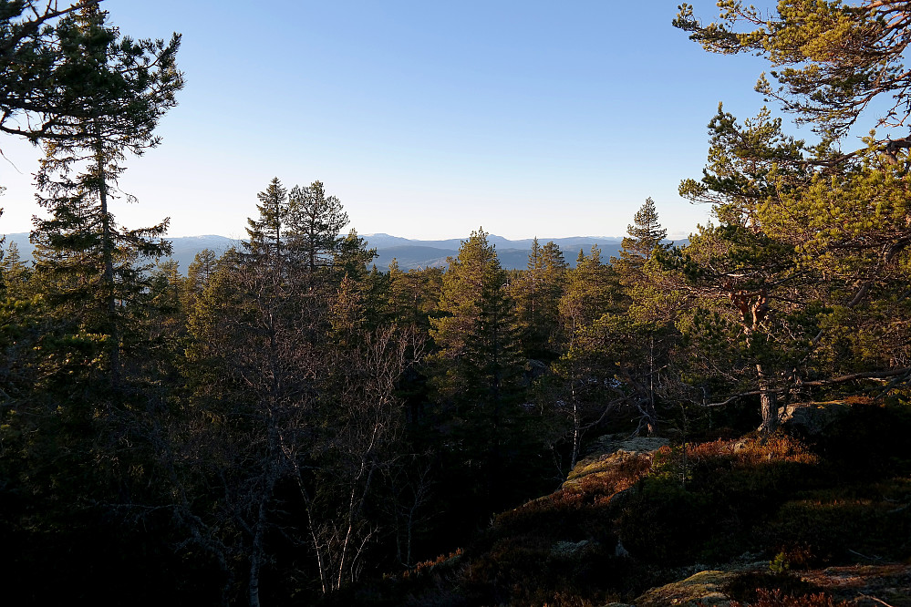 Noe utsikt mot nordvest fra Seteråsen (637). Blefjell er bakerst til venstre.