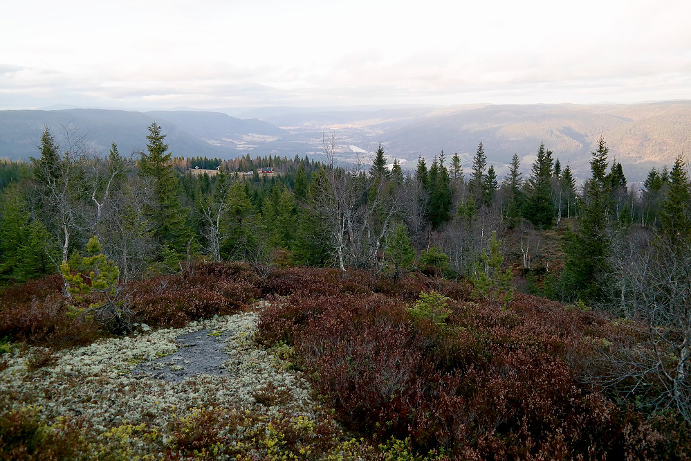 Litt nordvest for toppen av Ånnestadåsen var det god utsikt nordover. Setra som ses nedi skogen litt til venstre, er Rønningsetra.