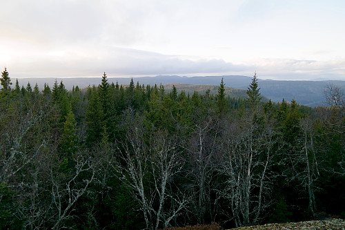 Jeg står 150 meter nordvest for toppen av Ånnestadåsen, og ser vestover. Åsen midt i bildet med sol på toppen, er Rudsåsen (583), som ble dagens siste topp. Bakerst skimtes Skrimfjella.