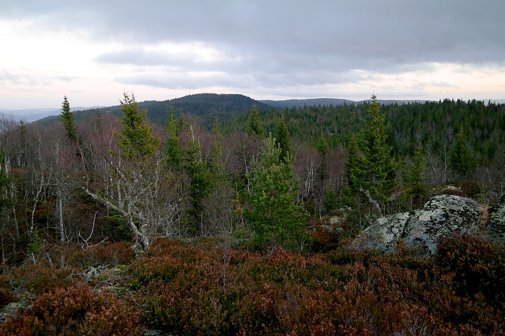 Fra Rudsåsen (583) ser jeg tilbake mot Ånnestadåsen (599), som er den høyeste åsen litt til venstre.