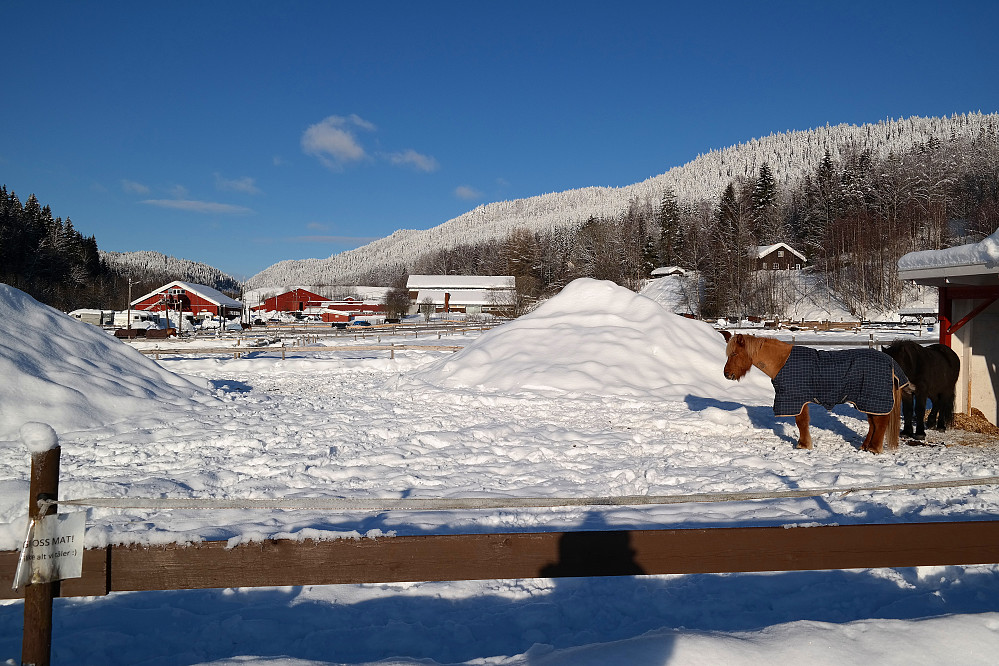 Elveli hestesportsenter i forgrunnen. Skiløypa jeg skulle følge går oppover i de hvite åssidene i bakgrunnen.