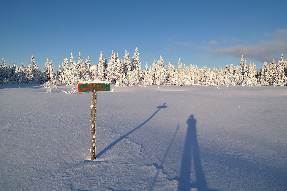 Flottere blir ikke vinterskogen! Her står jeg ved tjernet på myra som er like nordvest for Trekønnmyr. Skiltet viser altså vei til utsikten på trig.punktet, 557 moh. Dit orket ikke jeg å gå idag. Istedet fortsatte jeg videre bakover til venstre i bildet, hvor man kan se neste stolpe med rødmerking.