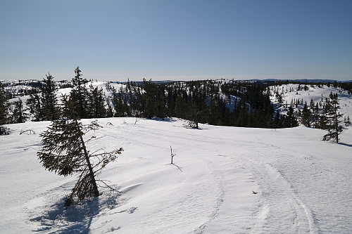 Mot sør, fra toppen av Stølefjellet Nordvest (743). Den lyse kollen til venstre er Stølefjellet Nord (742).