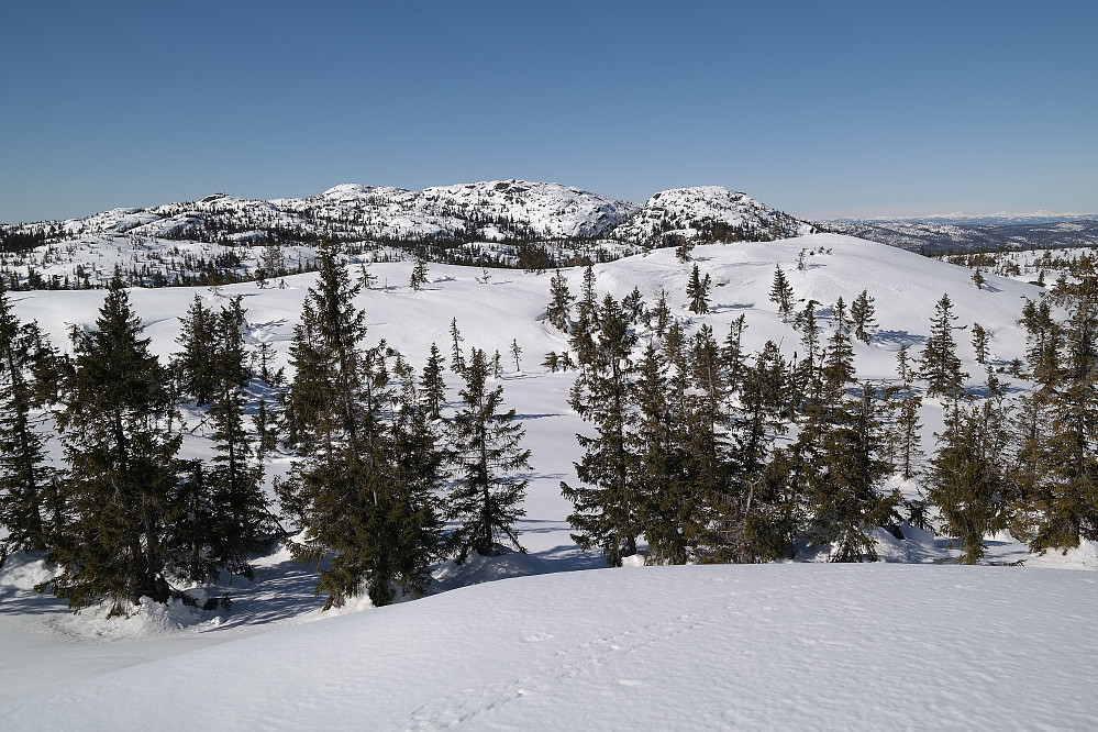 På Evjuseterfjellet Østtoppen (757), med utsikt vestover. Den snaue kulen ganske nærme til høyre i bildet, er Evjuseterfjellet trig.punkt (758). I bakgrunnen til venstre er Styggmann (872) høyest.