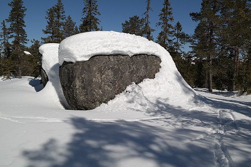 Denne todelte kampesteinen er trolig aller høyeste punkt på Nord for Støleseter (650). Jeg klatret opp via snøen som går helt opp til høyre på steinen.