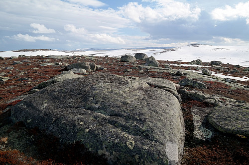 På Nordøst for Langtjernkollen (1125). Den snøfrie kulen til høyre i bakgrunnen er Langtjernkollen (1149).