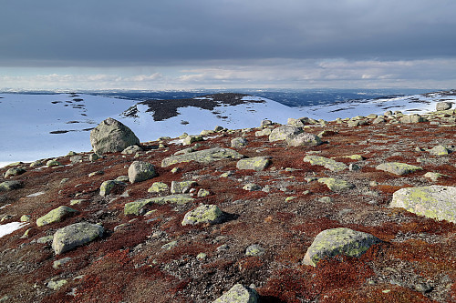 Fra toppen Øst for Langtjernkollen (1133), mot nord. Kollen midt i bildet er Nordøst for Langtjernkollen (1125).