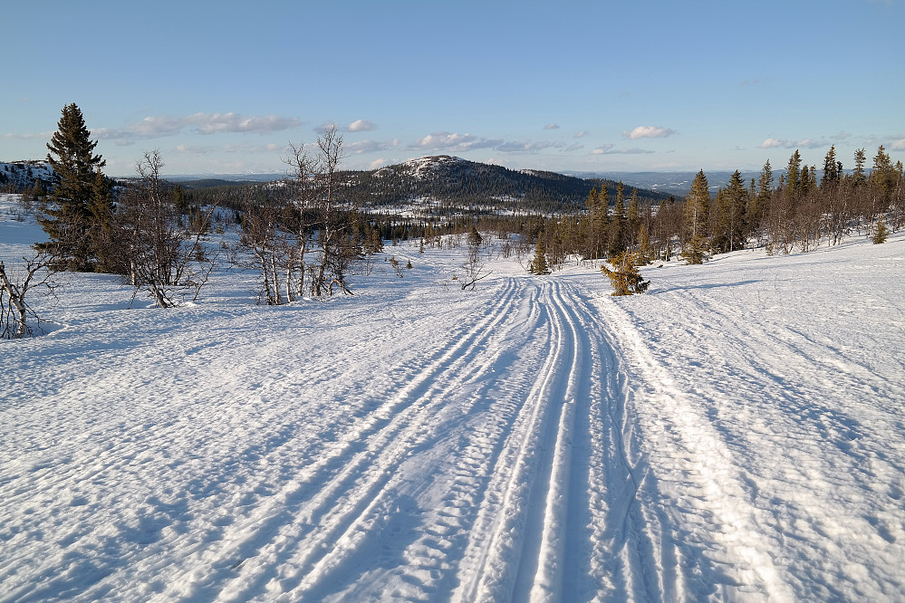 Løypa nedover mot myrene rundt bekkene Austre Busua og Småvassbekken. Toppen i bakgrunnen er Busufjellet (1058), mitt siste mål denne dagen.