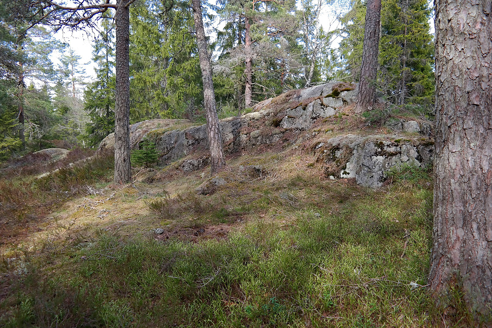 En tydelig knaus er toppen på Strutsåsen (330).