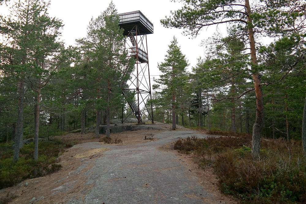 Utsiktstårnet på Kjerringhøgda (349).