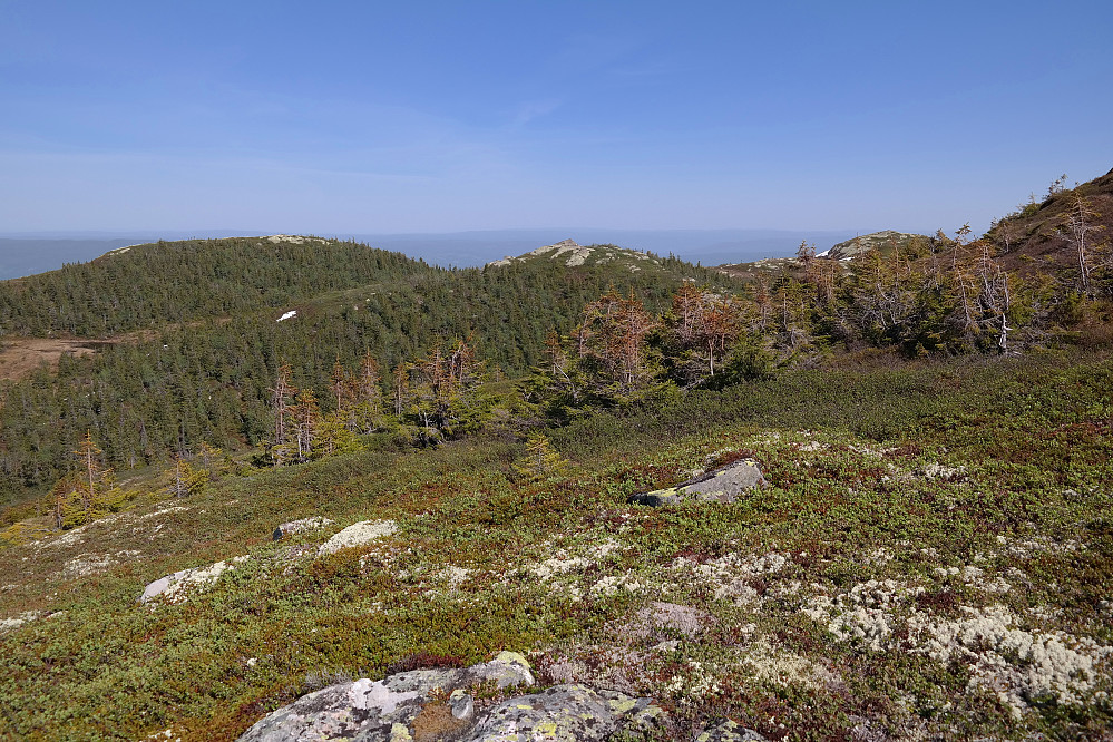 Fra oppstigningen, litt før vi nådde høyde 1058 moh. Utsikt østover. Småtoppene vi ser ligger på østsiden av Valdresdalen. 