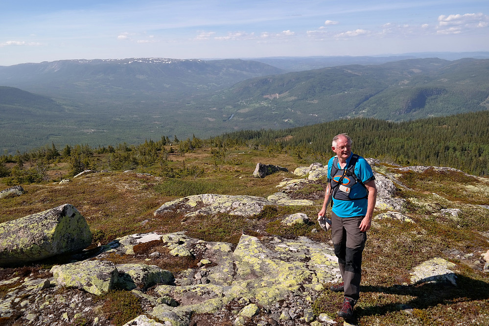 Fra oppstigningen, hvor vi ser ned mot Hedalen. Vassfaret er til venstre. Den lyse flekken i skogen litt til venstre for hodet til Tor, er hytta på Lindelifjellsætra/Nedre Fjellseter.