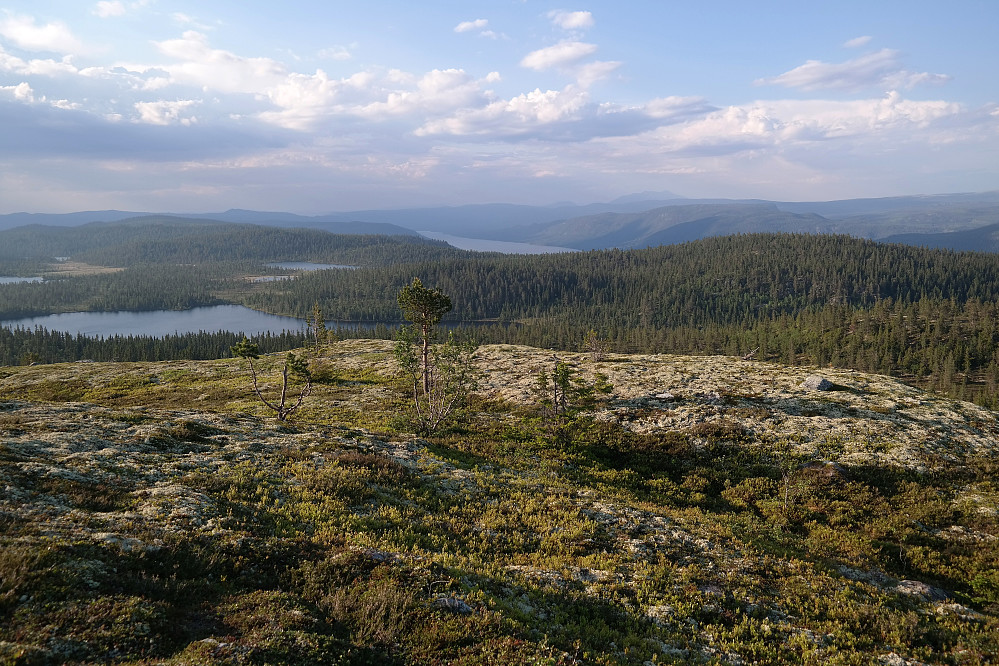 Utsikt mot N/NØ fra Nordhovden (865). Det store vannet ganske langt bak, midt i bildet, er Storsjøen. Sølen (1755) skimtes veldig langt bak til høyre i bildet.