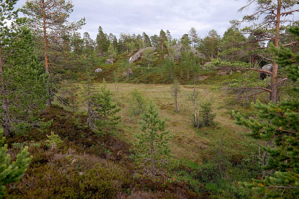 Toppvarden på Hiåsvarden (612) står oppå svaberget i bakgrunnen, litt til høyre for midten av bildet.