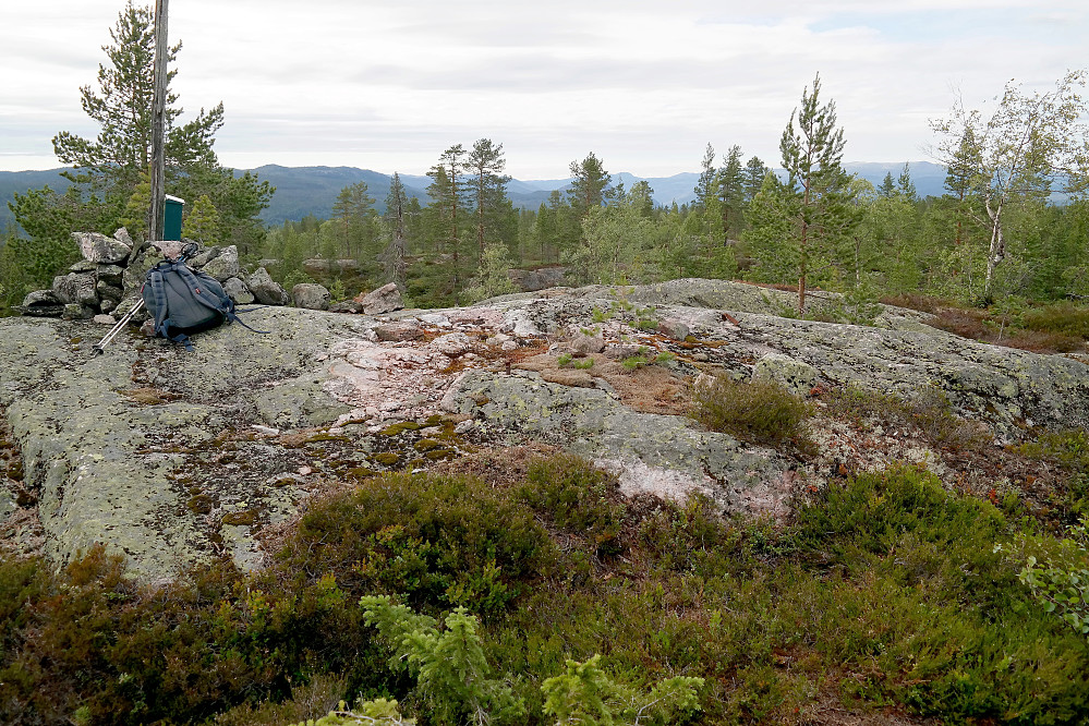 På Hiåsvarden (612). Utsikt nordover.