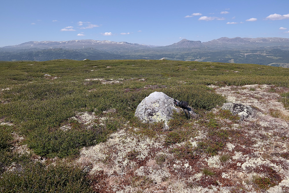 Utsikt mot nord/nordvest fra det vestre toppunktet på Buhovda. Langt bak til venstre er Reineskarvet (1791).