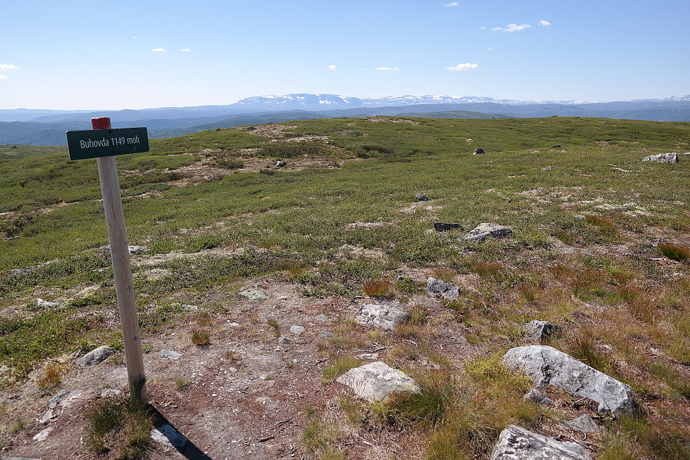 På Buhovda (1150), den østre kulen hvor stien går over. Det vestre toppunktet jeg var bortom først, ses noen meter lengre bak nokså midt i bildet. Helt bakerst er Hallingskarvet.