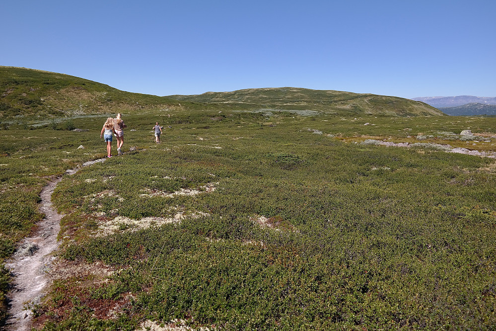 Lystig vandring på stien mot Vedalshøgde (1195), som er høyden i bakgrunnen midt i bildet.