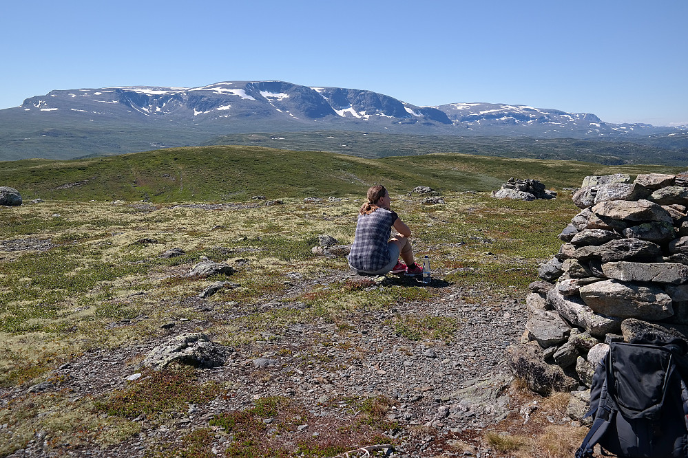 Toppvarden på Vedalshøgde (1195) i forgrunnen helt til høyre. Bakgrunnen domineres av Hallingskarvet, med Prestholtskarvet (1859) til venstre, som er den østre enden av Hallingskarvet.