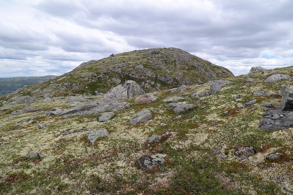 Toppen av Flåtåfjellet (1257) sett fra vest/sørvest.