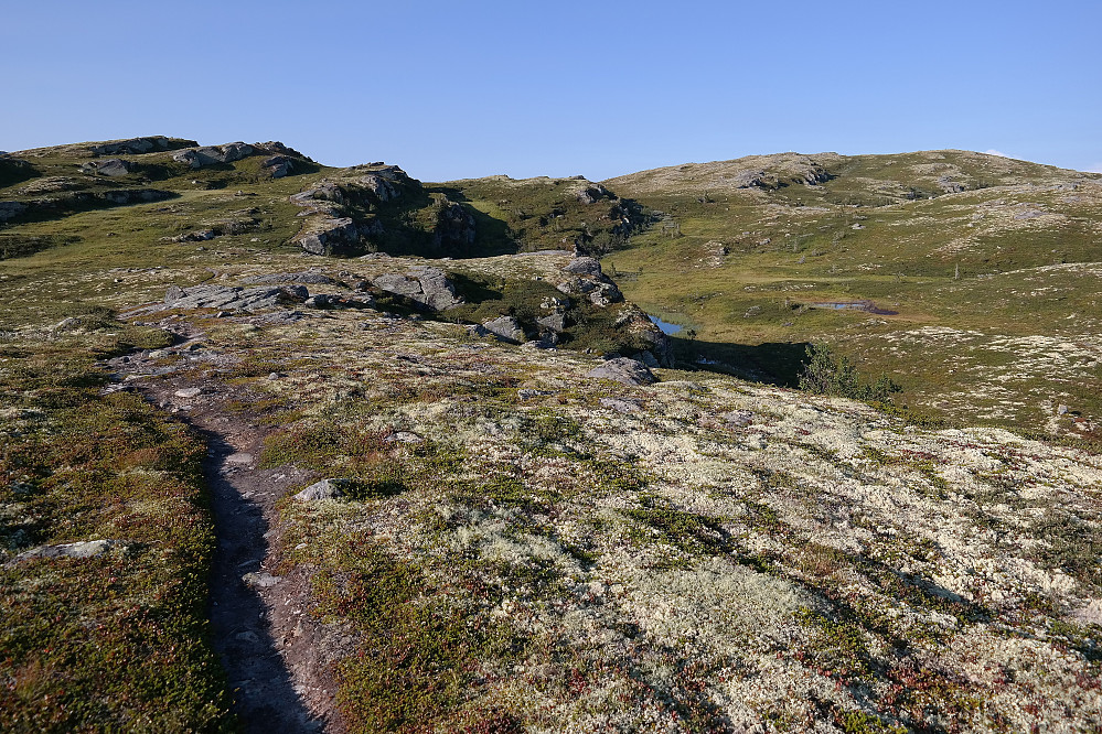 På stien mot Stornatten Vest (1109), som er oppe til venstre. Selve Stornatten (1123) er i bakgrunnen til høyre.