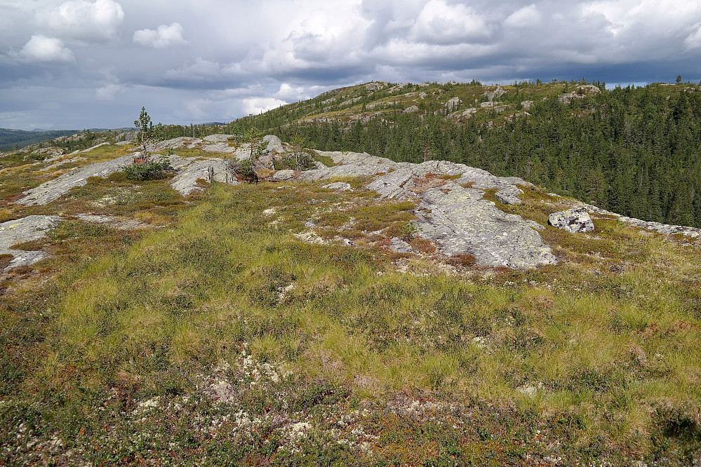 Toppunktet på Svararnatten (897) er noen meter lengre framme. I bakgrunnen nokså midt i bildet, er Lislelinatten (955).