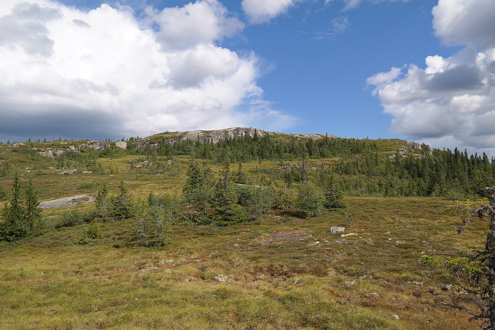 Oppover mot Storsteinnatten (952). Den noe uveisomme skogklynga ses like nedenfor det øverste berget.