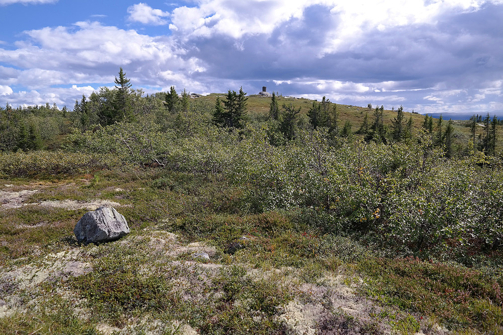 Toppen på Vardefjell (956) har dukket opp i bakgrunnen. Her er den sett fra nord. Den svære toppvarden er plassert oppå en glatt og markert svabergkul.