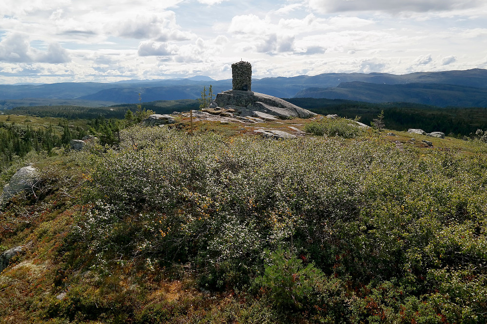 Høyeste punkt på Vardefjell (956) er en glatt og markant bergknaus.
