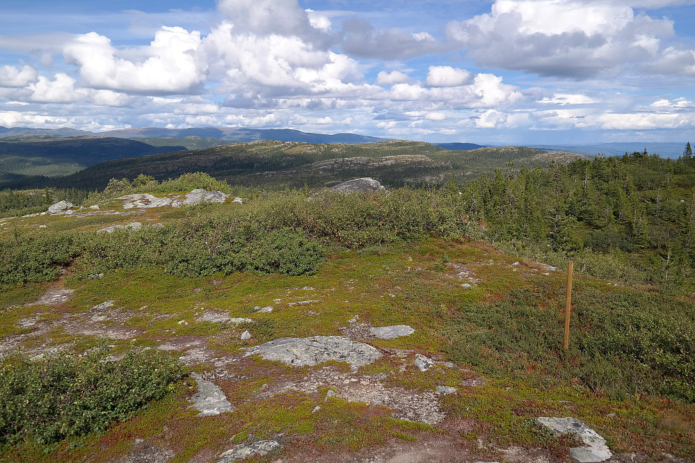 Utsikt mot nordøst fra Vardefjell (956). I bakgrunnen nokså midt i bildet, er blant annet Lislelinatten (955), Storsteinnatten (952) og Svararnatten (897). Helt bakerst og til venstre er Norefjell.