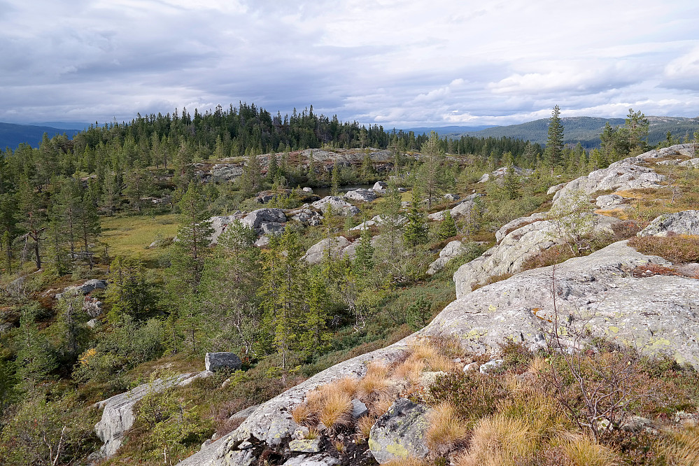 Jeg ser tilbake mot Vrågåvarden (786), som befinner seg på den skogkledde haugen til venstre. Selve toppvarden som er laget av store trestokker, ses litt til høyre for de høyeste trærne.