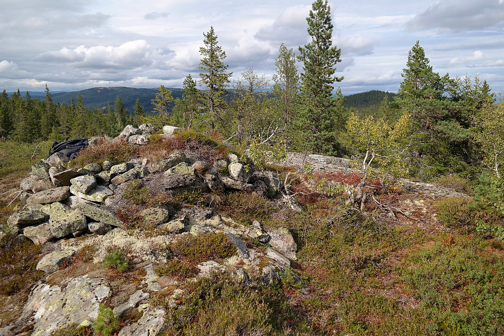 Varden på toppen av Vrågå (784) var en haug med stein som hadde begynt å gro igjen med lyng og kratt.