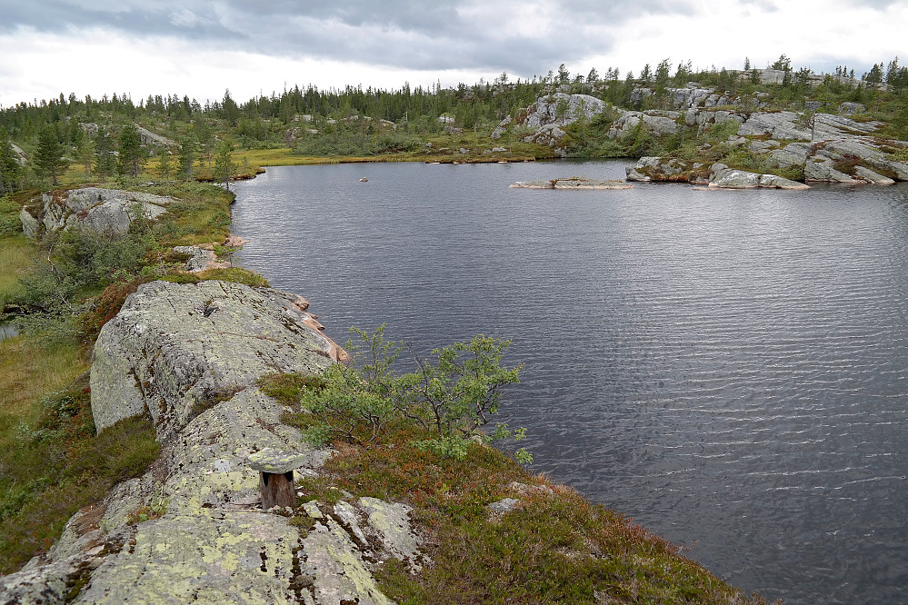 Idyllisk og fint terreng her litt nord for Vrågå (784). Her står jeg ved det største tjernet oppe på platået.