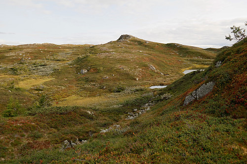 Den markerte bergknatten midt i bildet er Saulifjellet Nordvest (1134).