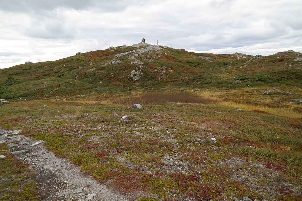 Blåfjell (1154) sett fra stien som går til Blåfjell Sørøst (1150).