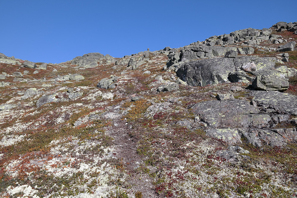 Toppvarden på Fauskofjellet (1369) har dukket opp i bakgrunnen midt i bildet.