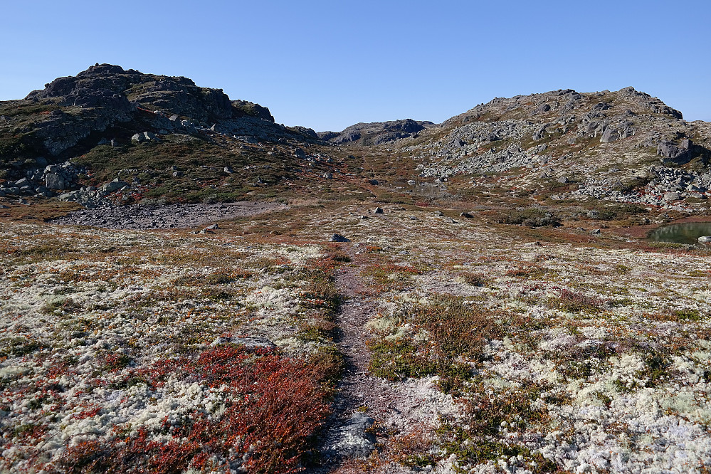 Til venstre er Fauskofjellet NV6 (1278), og til høyre Fauskofjellet NV5 (1260). Det var stadig vekk noen stier her og der mellom småtoppene på ryggen mellom Jøransetfjellet (1303) og høyeste punkt på Fauskofjellet (1369).