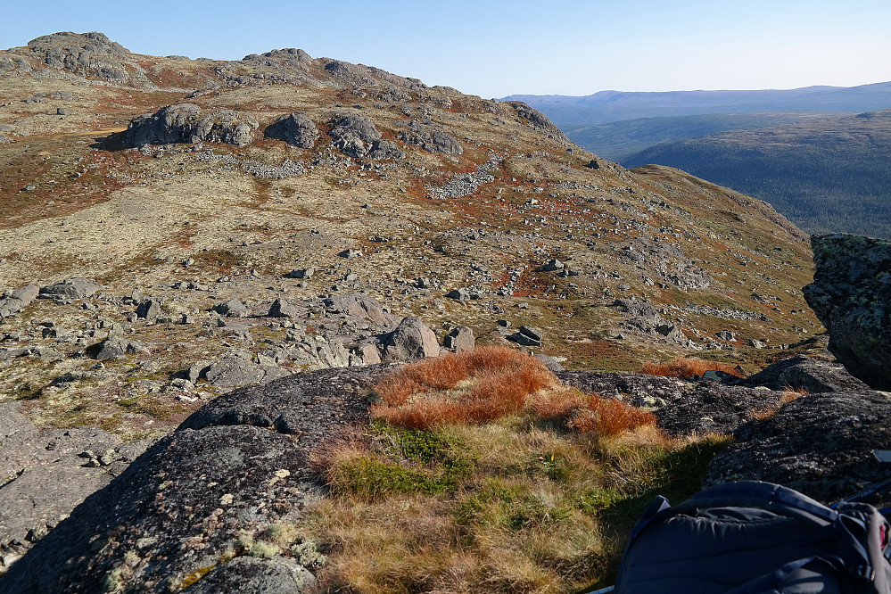 På toppen av Fauskofjellet NV6 (1278). Bildet tatt sørover. Helt til venstre i bildet er en bergknatt med to jevnhøye toppunkt. Av disse to toppunktene kan man på det til høyre skimte noen reinsdyr. Disse reinsdyrene sto lenge på toppen der. Det så ikke ut som de rørte seg i løpet av en halvtime.