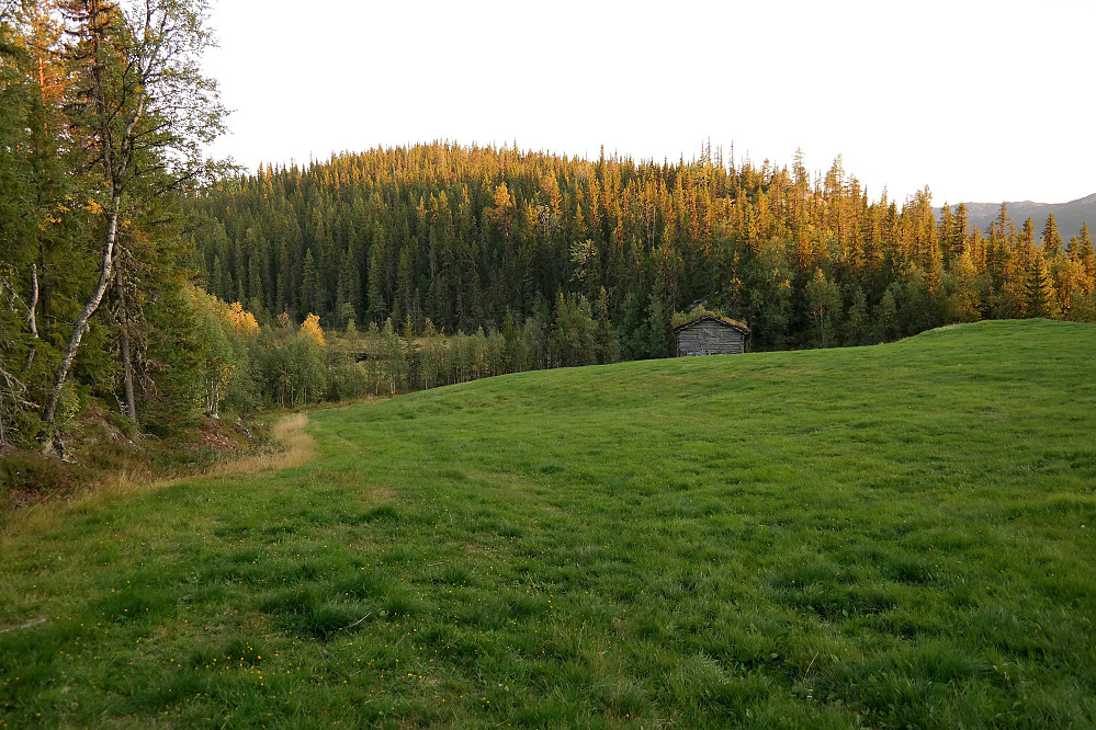 Jeg rusler oppover jordet med gress som var i enden av veien jeg parkerte langs. Bak lyser sola opp tretoppene på Lykkjeåsen (833).