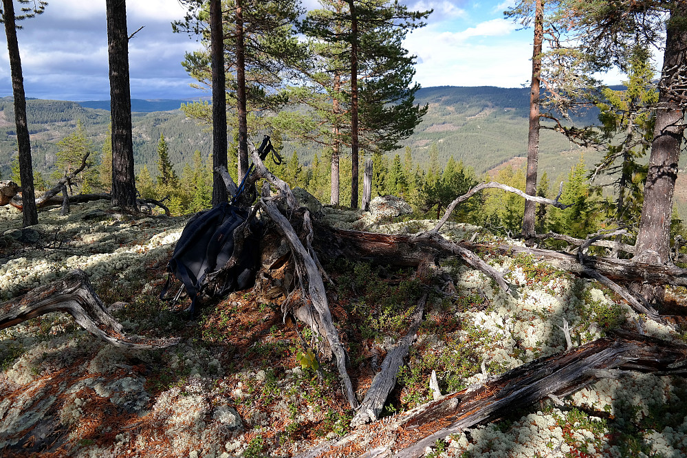 Toppunktet på Rudsåsen Nordvest (786).