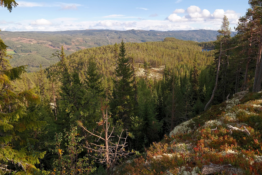 Fra Rudsåsen Nordvest (786) ser jeg mot de østre toppene på Rudsåsen, hvor min videre rute skulle gå.